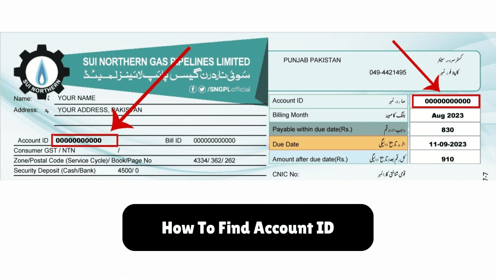 sngpl online bill